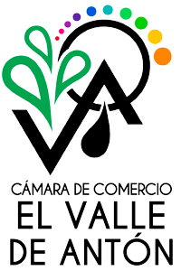 Logo-Camara--Valle-w