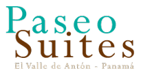 logo-paseo-suites-w